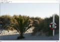 ImageMagick 7.0.9-26