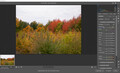 Adobe Camera Raw