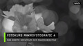 Fotokurs Makrofotografie 4  Das breite Spektrum der Makroobjektive