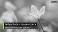 Frhblher fotografieren  Naturfotografie vor der Tr
