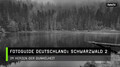 Fotoguide Deutschland: Schwarzwald 2  Im Herzen der Dunkelheit