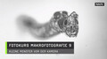 Fotokurs Makrofotografie  9  Kleine Monster vor der Kamera