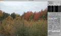 Raw Photo Processor